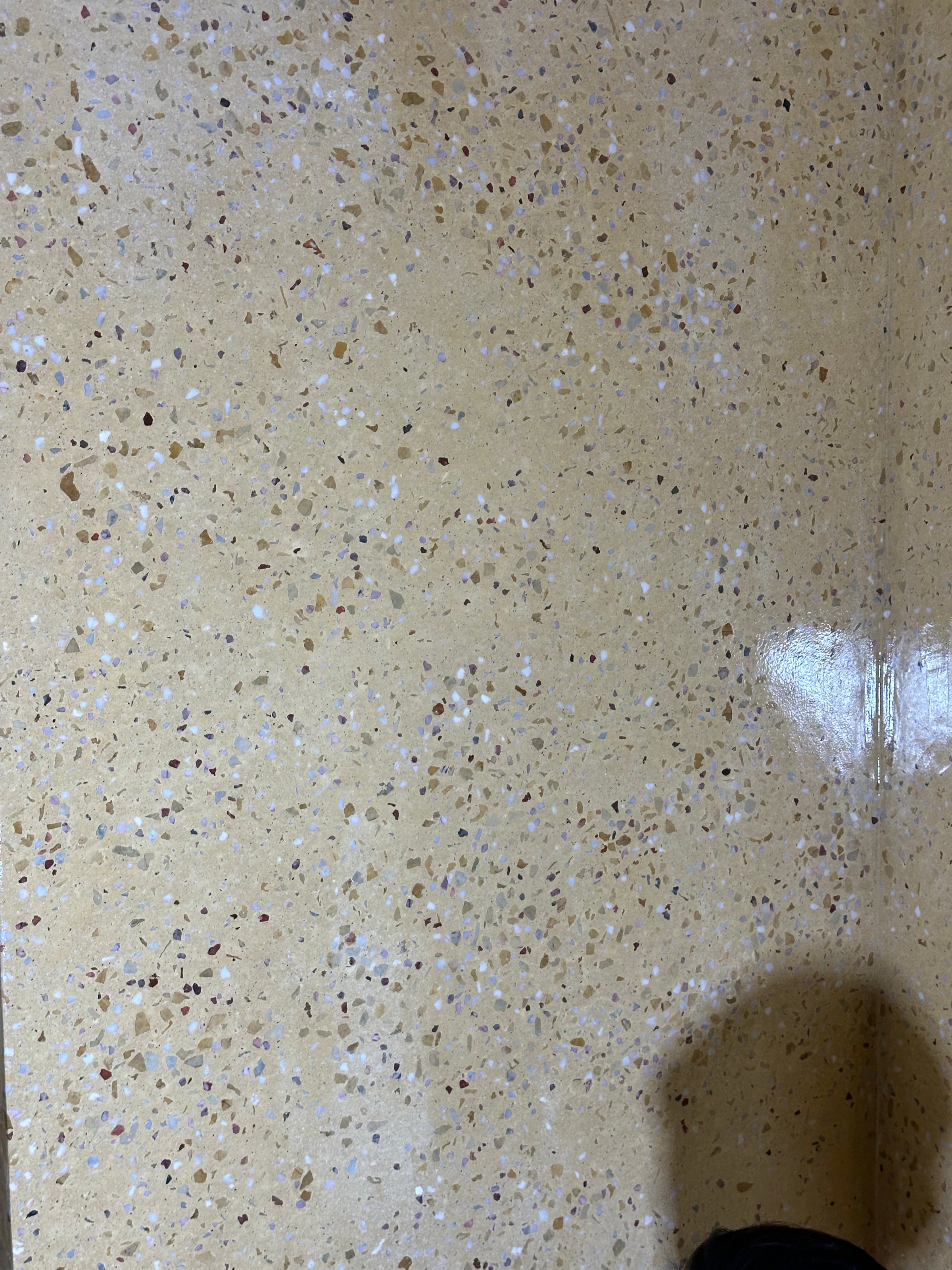 Mảng tường terrazzo đổ và mài tại chỗ