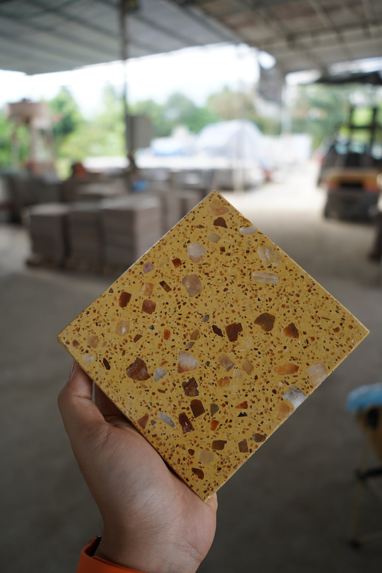 Mẫu khách lựa chọn